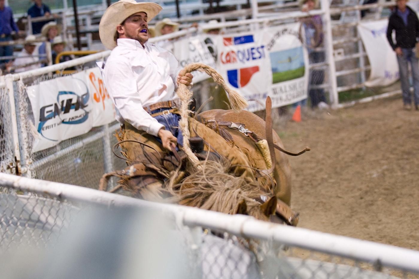 pro rodeo cowboy on horse with rope
