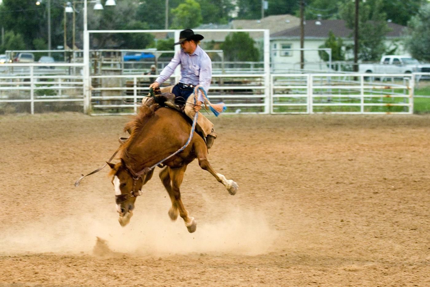 pro rodeo cowboy on horse jumping