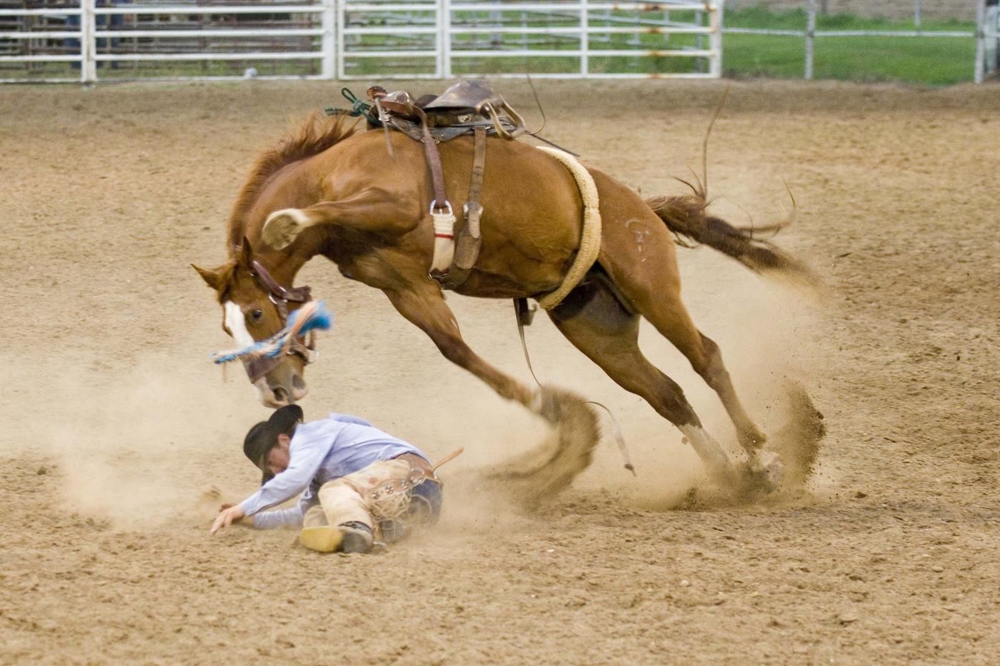 pro rodeo cowboy on horse jumping over him