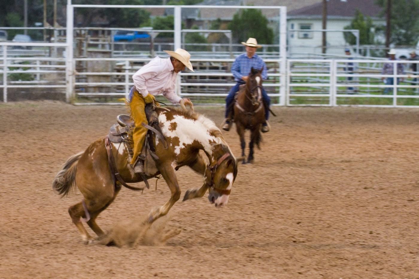 pro rodeo cowboy on horse jumping or about to