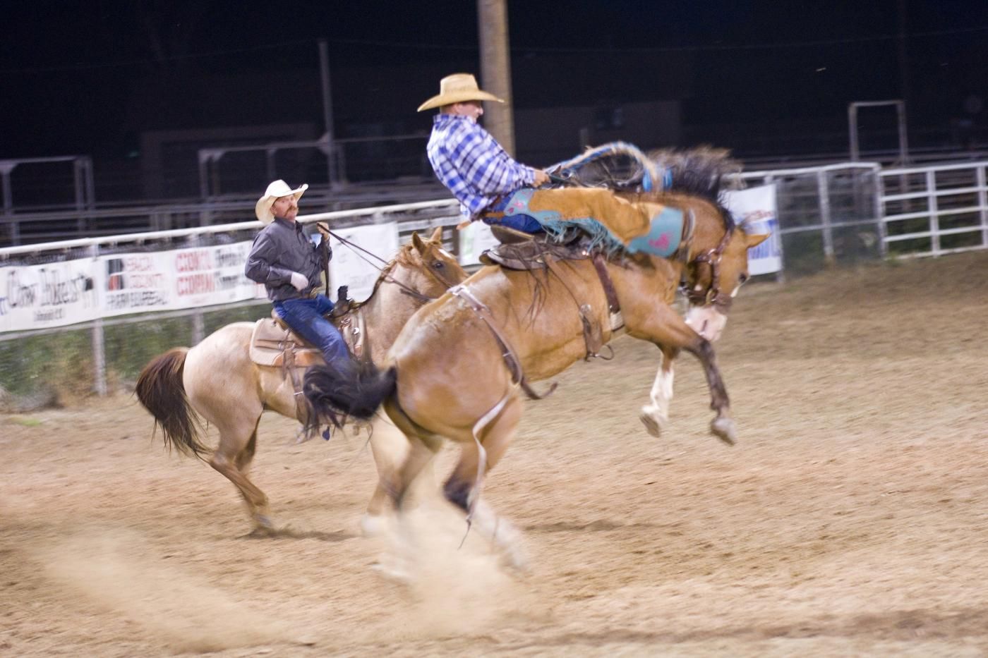 pro rodeo cowboy on horse jumping with back feet with other cowboy