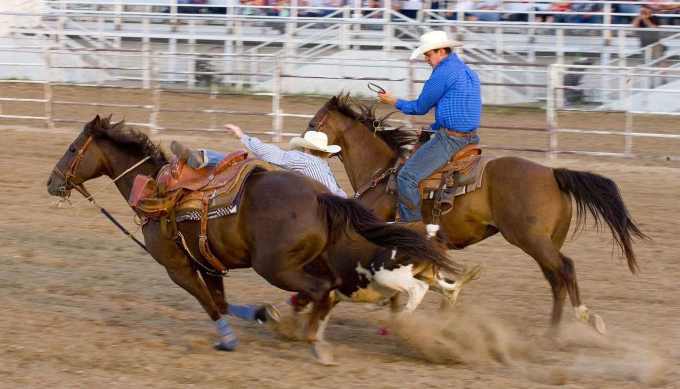 ranch rodeo cowboy on horse fell off the horse